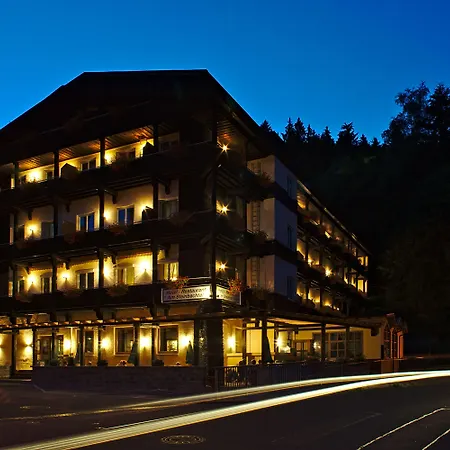 Am Steinbachtal - Und Wandern Hotel 3*