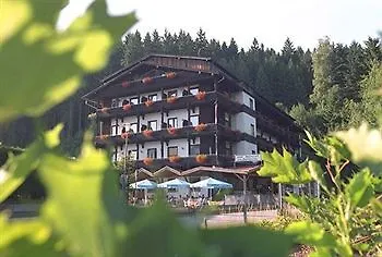 Am Steinbachtal - Und Wandern 3* Bad Koetzting